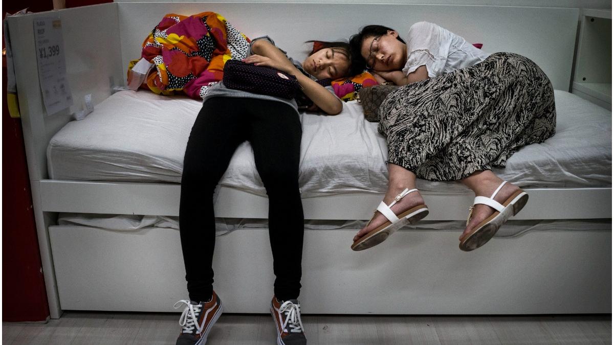 blocati ikea zeci danezi dormit magazin furtuna zapada