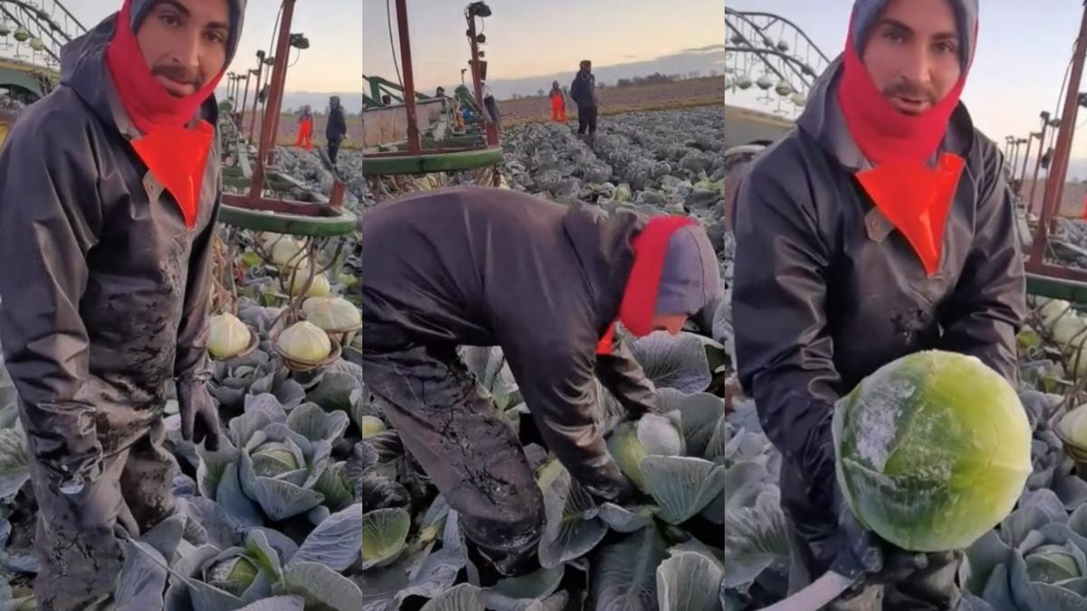 roman din anglia mesaj dur pentru prietenii de