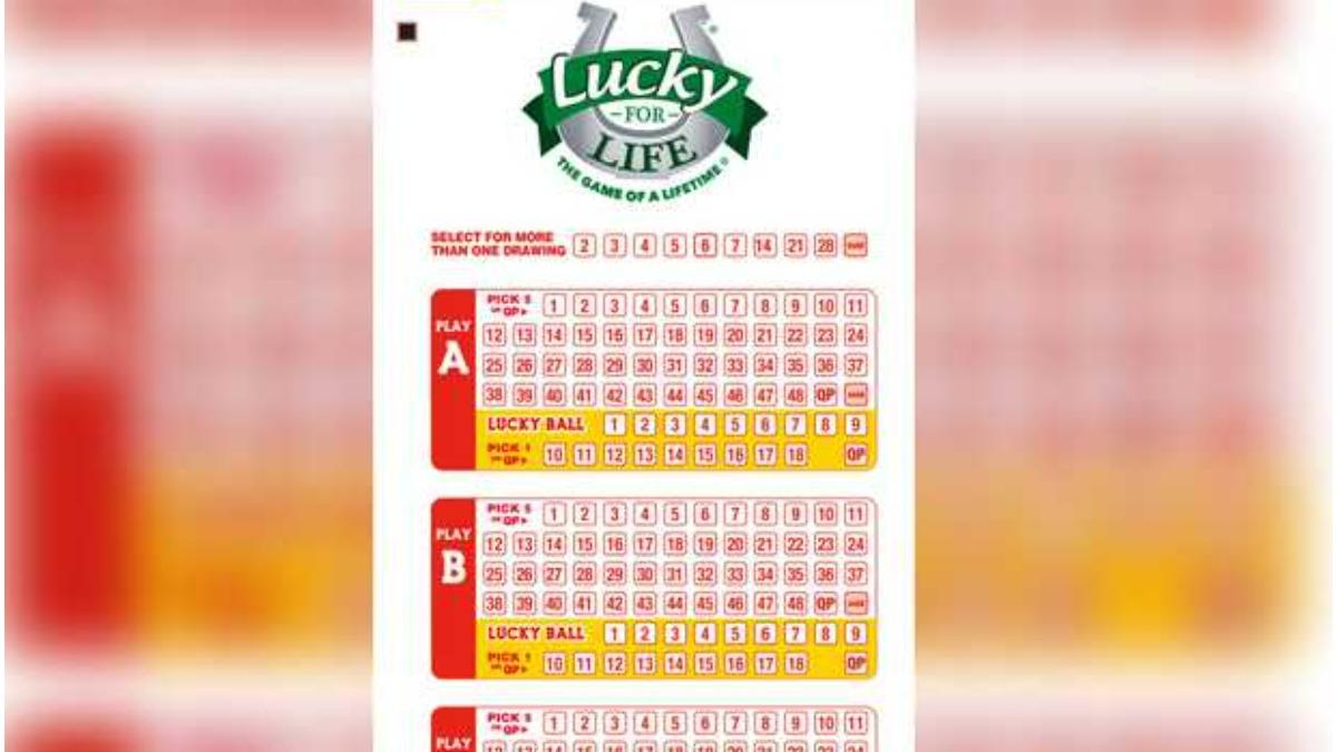 barbat sua bilet loto castigator