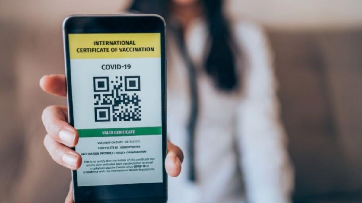 coalitia pnl psd udmr vrea certificat verde la munca pana la craciun