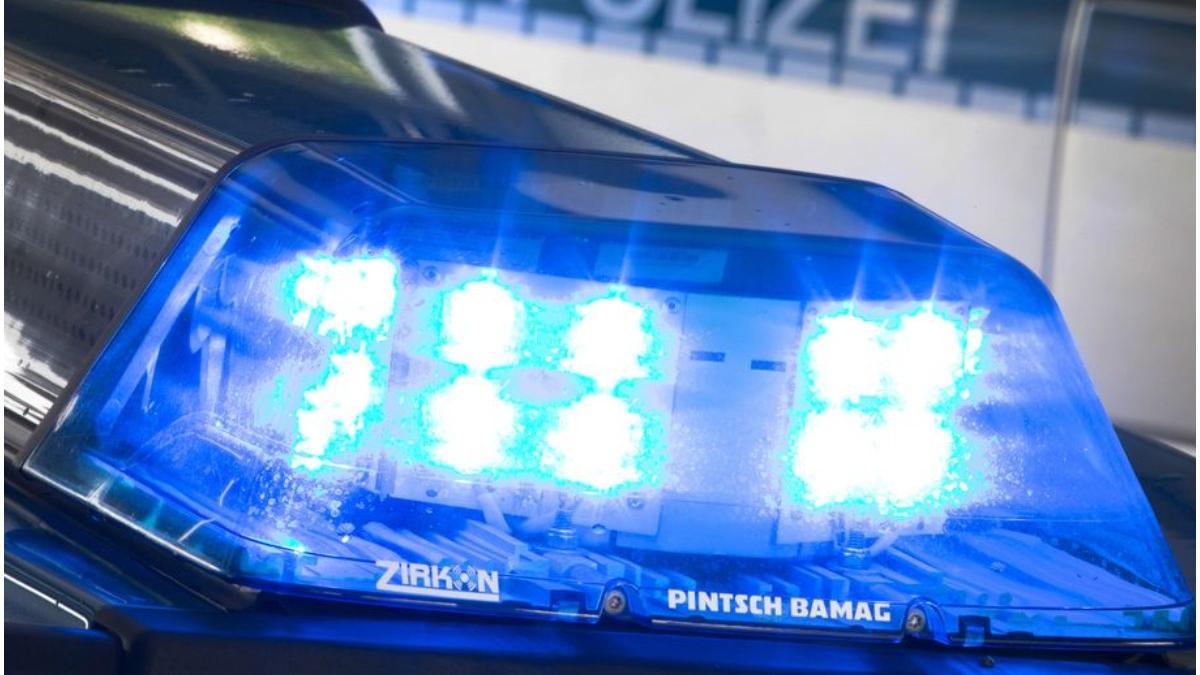 opt copii vandalizare scoala germania prejudiciu