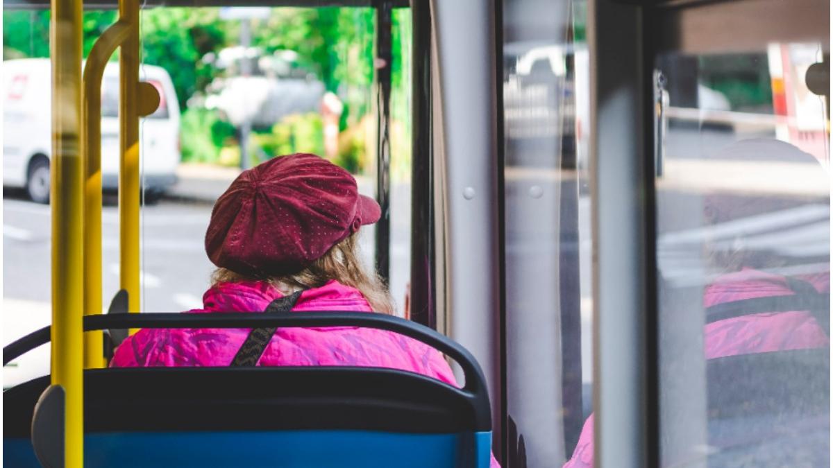 roman amendat roma permis verde