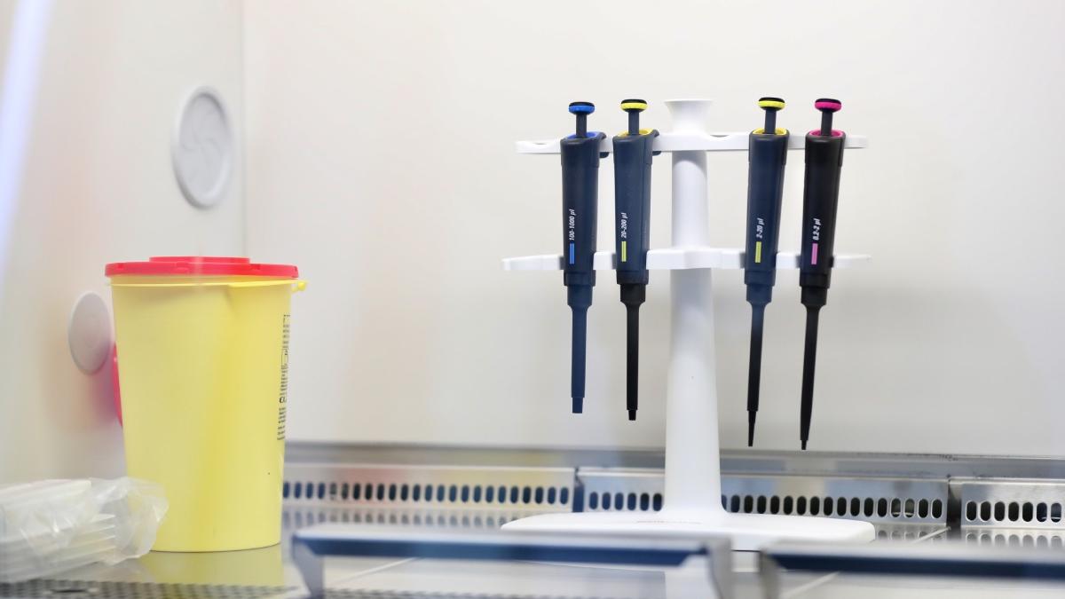 sportiv baia mare foarte probabil infectat cu omicron anunt ministerul sanatatii