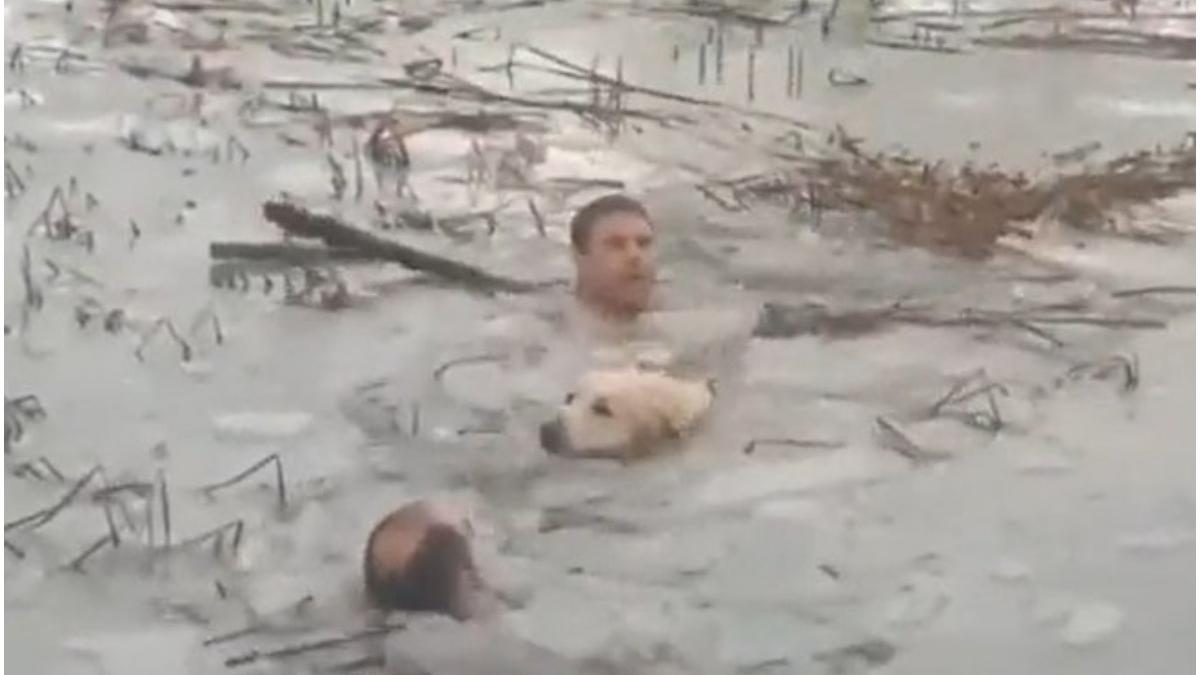 politisti spanioli au salvat caine apa inghetata