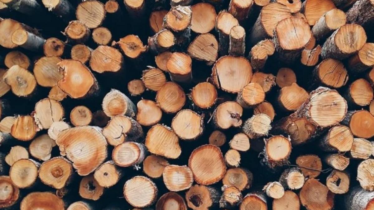 tva redus la 5 pentru lemnele de foc legea a fost promulgata de klaus iohannis