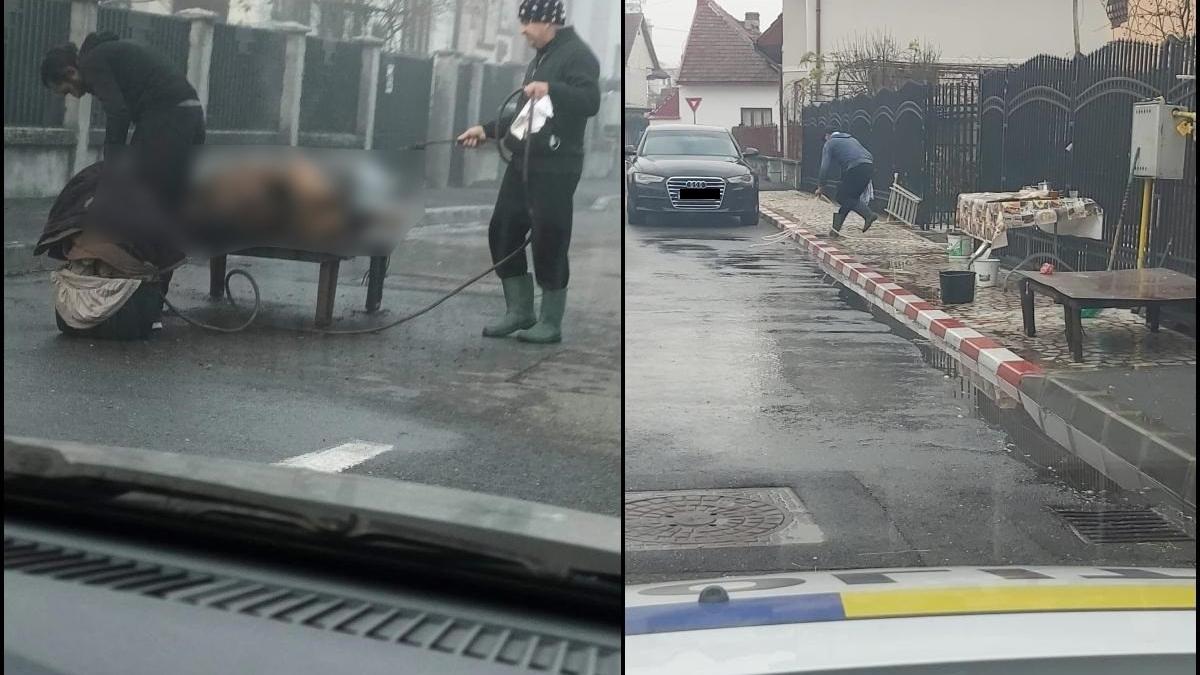 familie tg jiu porc taiat strada