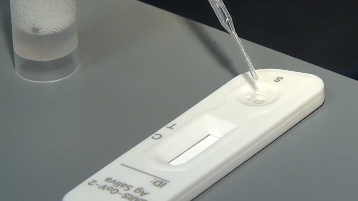 minister educatiei teste saliva