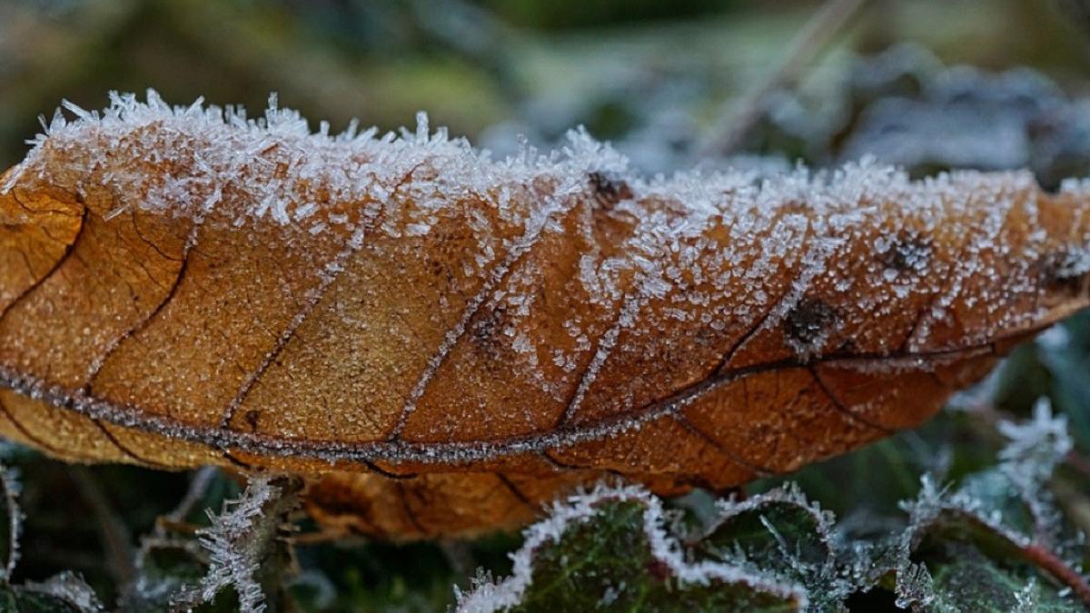 prognoza meteo vremea temperaturi weekend