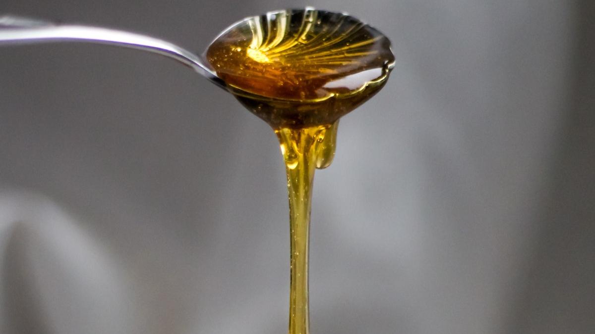 bland antibiotic natural proteina completa vitamine