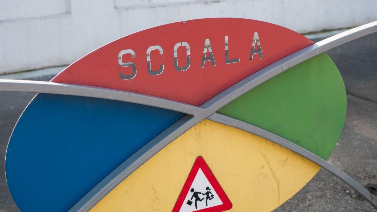 elev batut adolescent ramnicu valcea