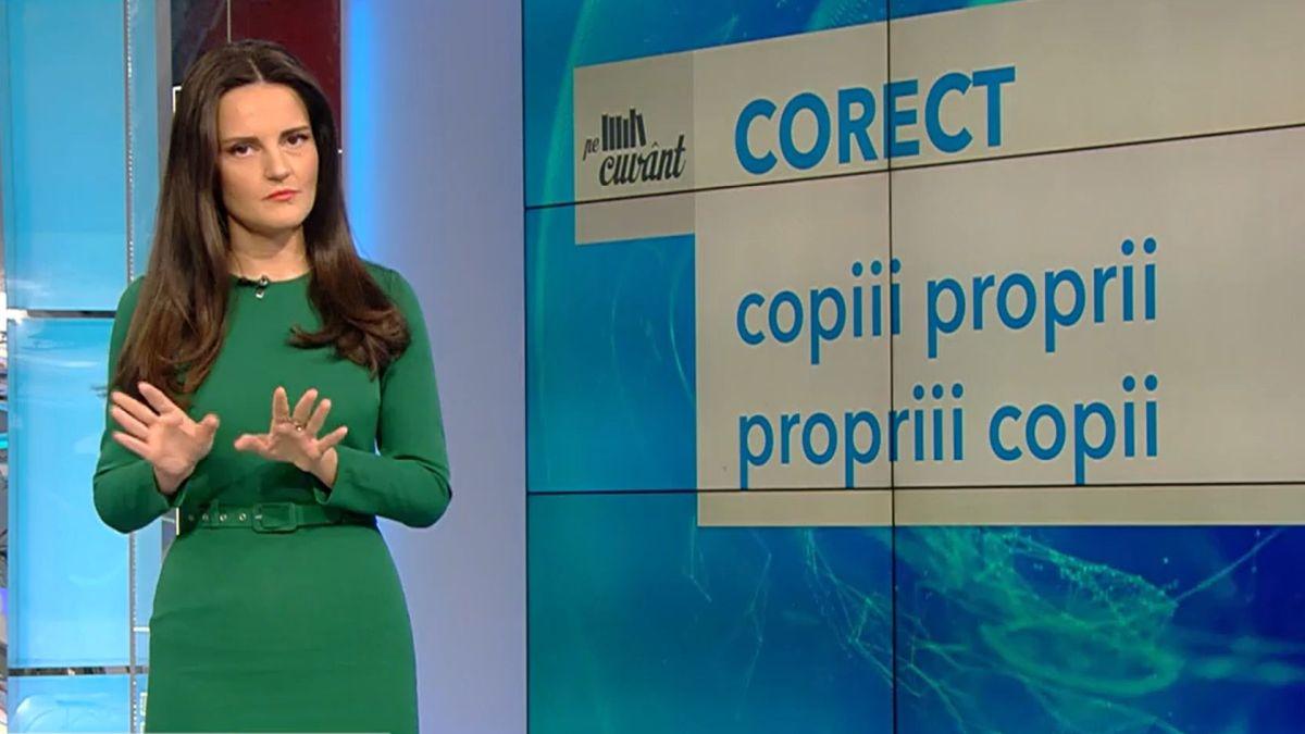 cum este corect proprii copii sau propriii copii