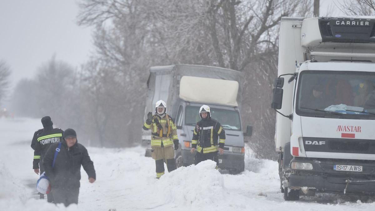 cod galben viscol ninsori