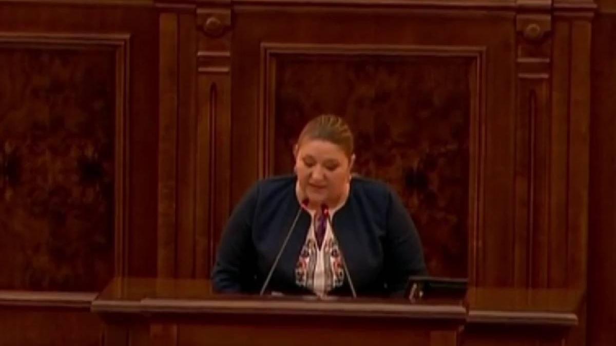 diana sosoaca spectacol parlament cere demisia premierului ciuca