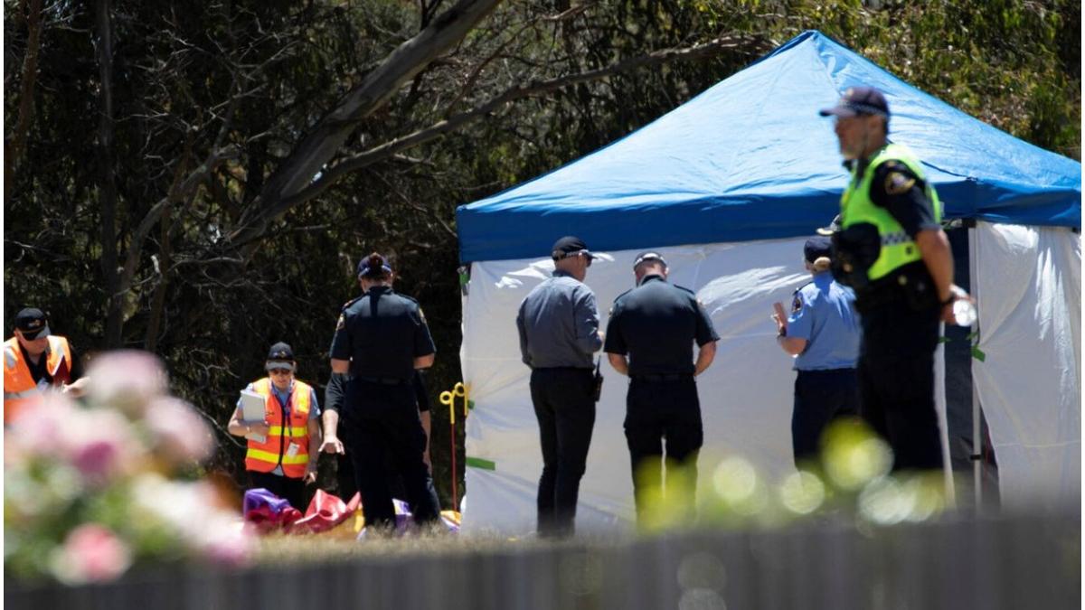 copii australi castel gonflabil