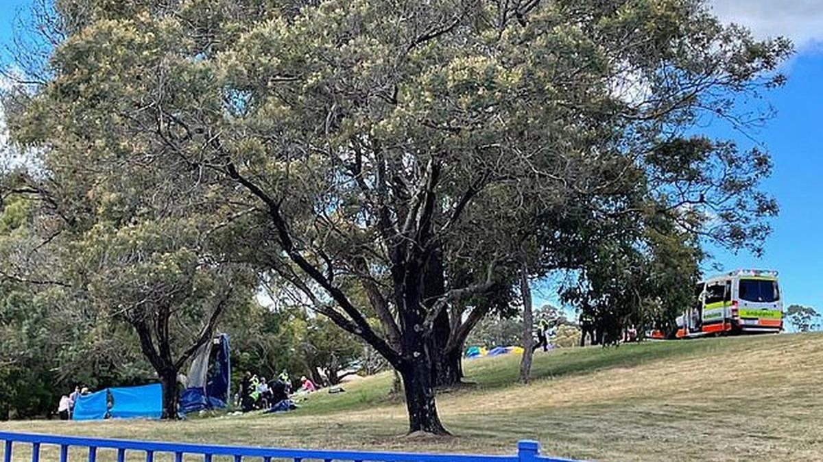 copii castel gonflabil australia devonport tasmania