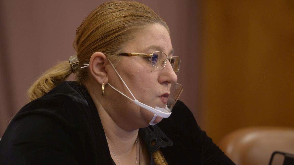 diana sosoaca risc suspendare senat