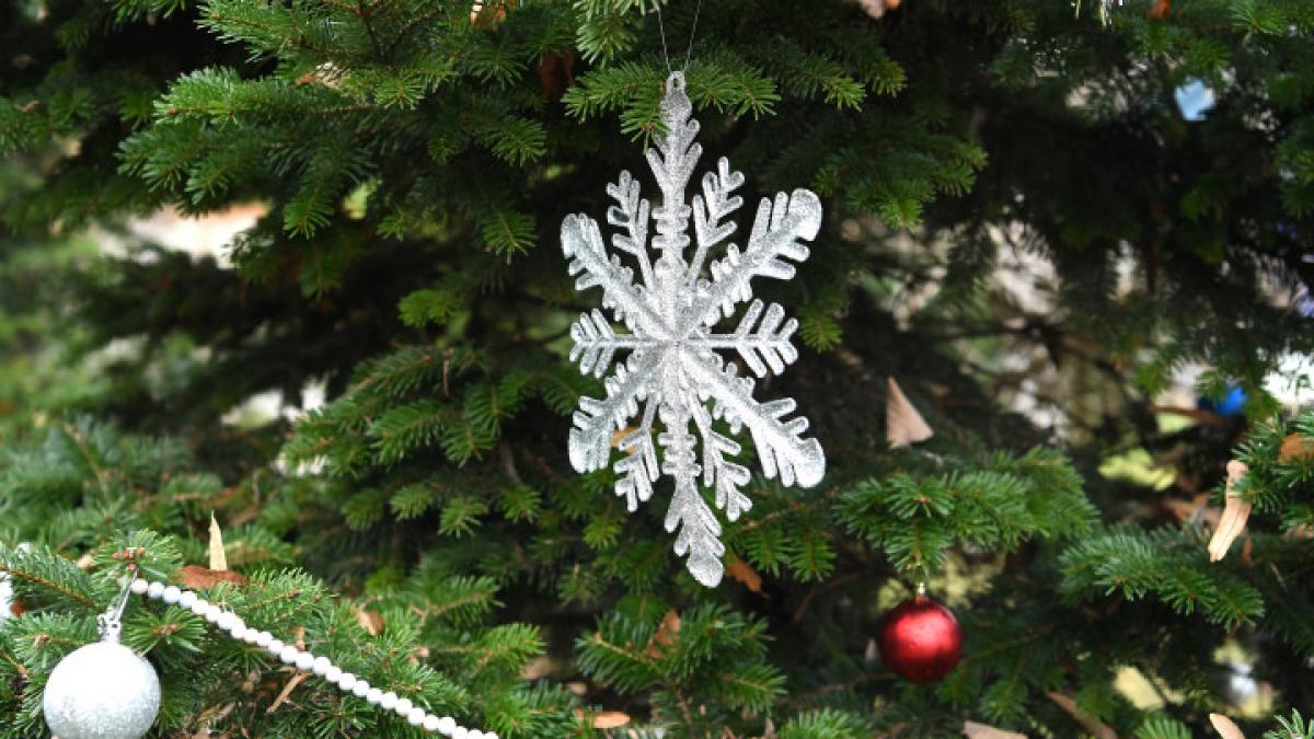 sindrom brad de craciun alergie