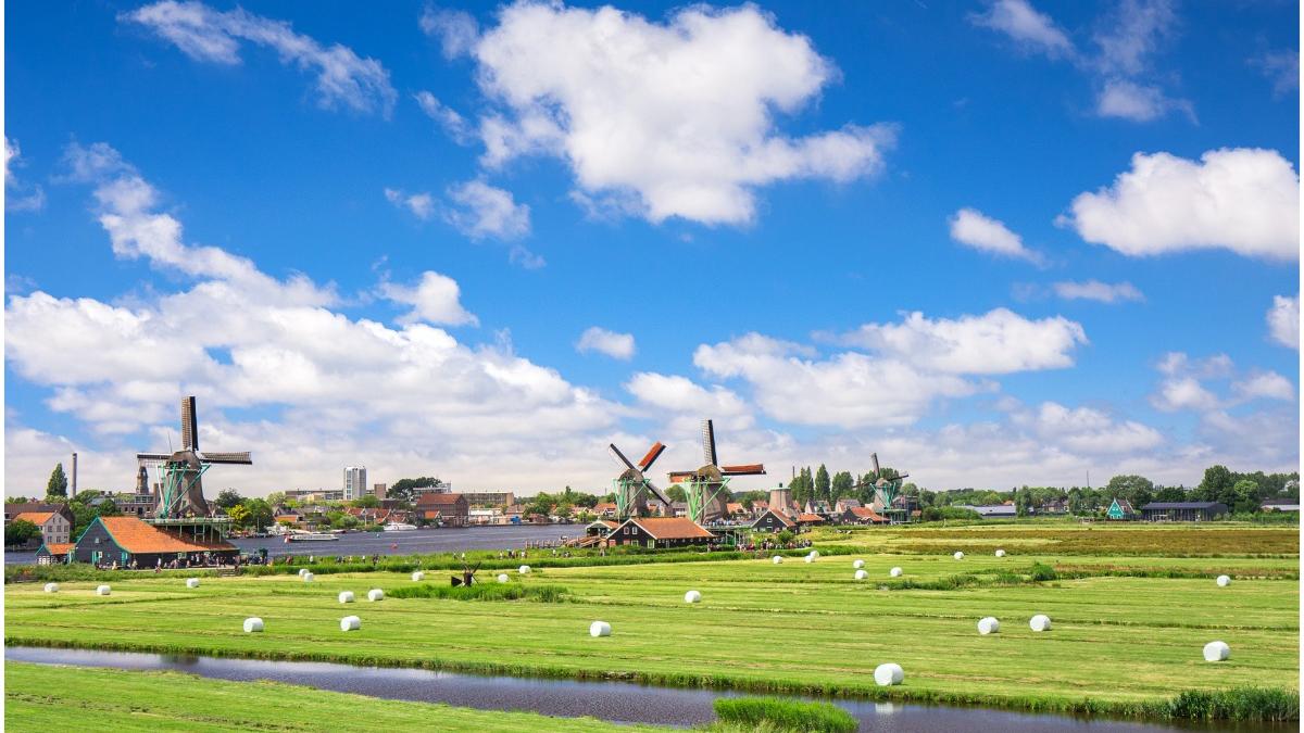 olanda lockdown infectari omicron