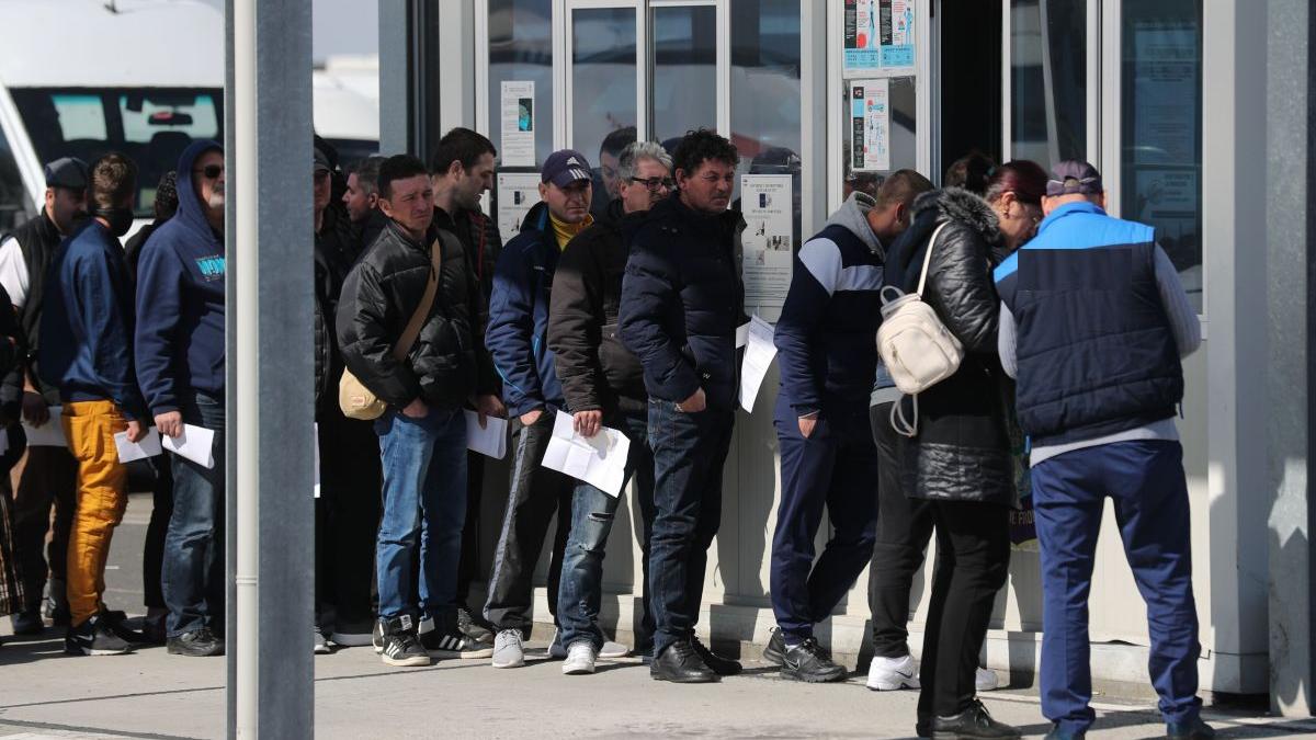 diaspora intoarcere acasa haos nervi vami