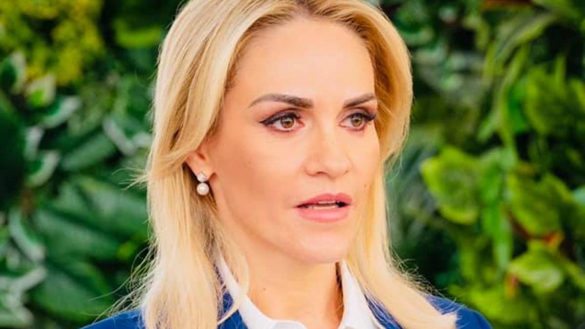 gabriela firea proiect de sprijin familii romania