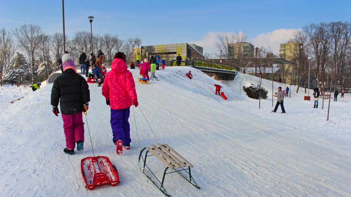 vacanta elevi prelungita 9 ianuarie