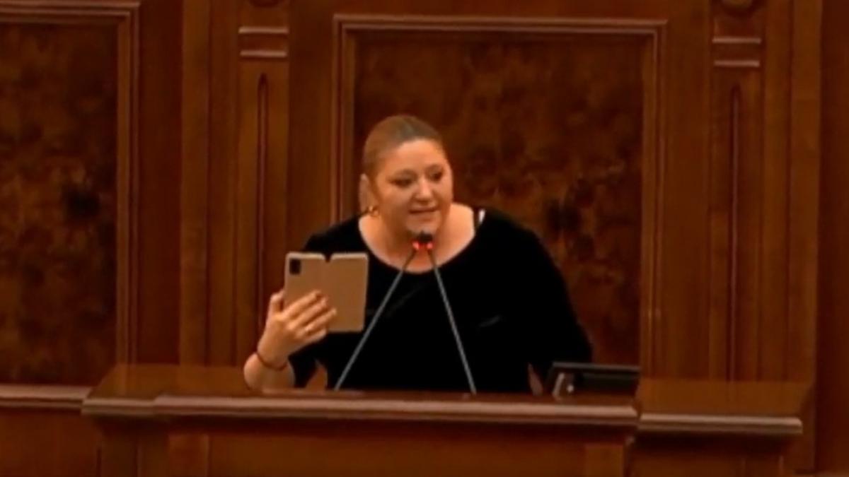 scandal parlament diana sosoaca comisie senat nicoleta pauliuc