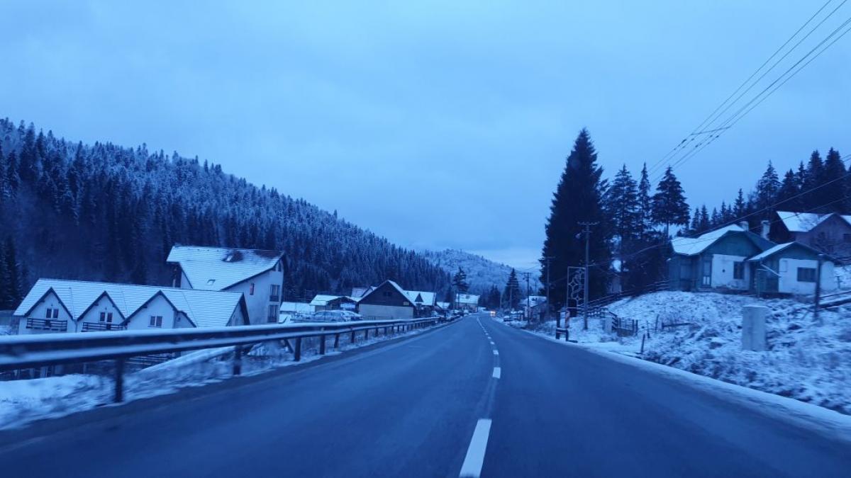 cod galben precipitatii polei