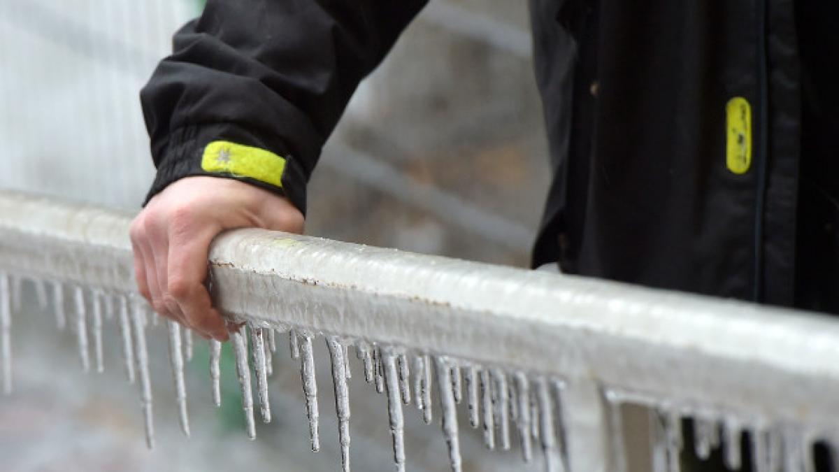 cod galben polei bucuresti burnita