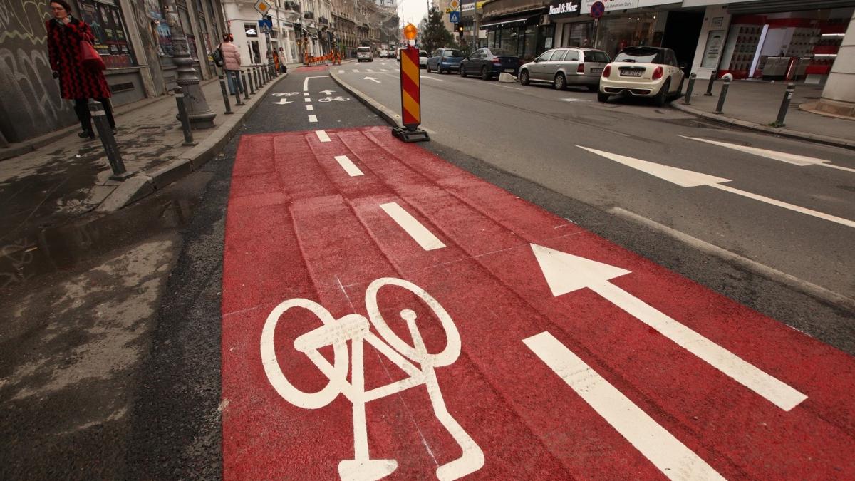 gabriela firea nicusor dan a pierdut 10 milioane de euro de la ministerul mediului