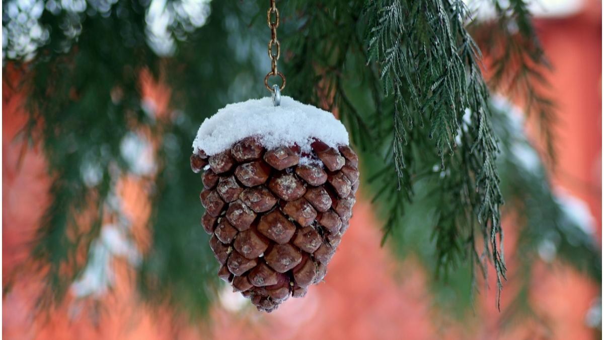 prognoza meteo 1 31 ianuarie vreme surprinzatoare in prima luna a lui 2022