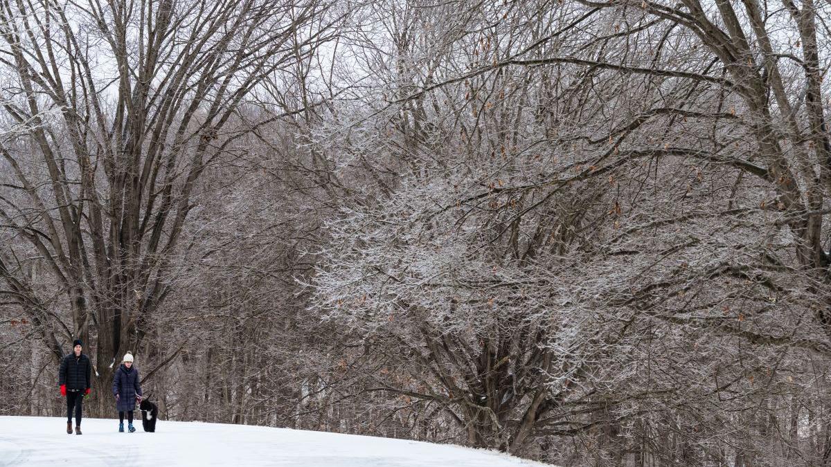 prognoza meteo 3 ianuarie 16 ianuarie 2022 vremea