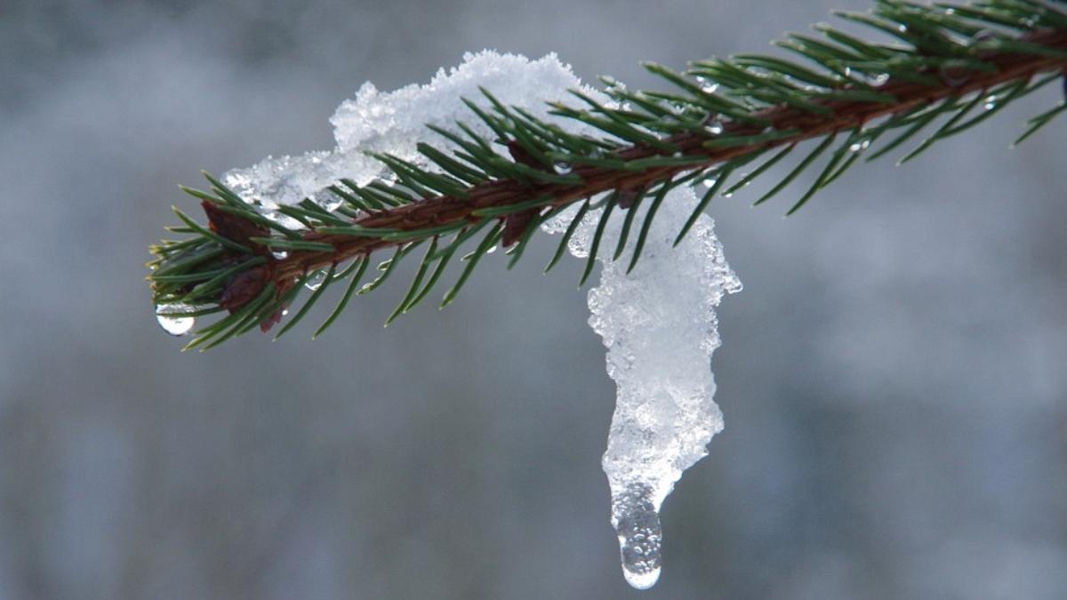 recorduri de temperatura inregistrate in 36 de localitati din romania