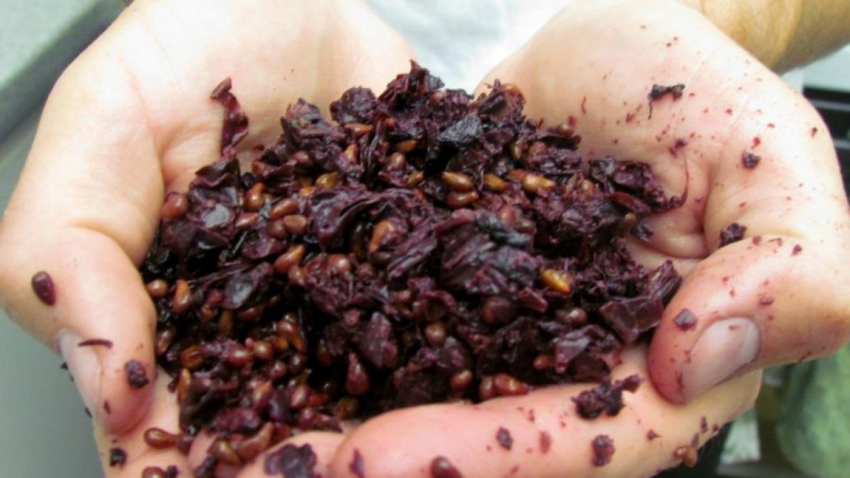 elixirul tineretii antidotul perfect consuma picaturi trei ori zi masa