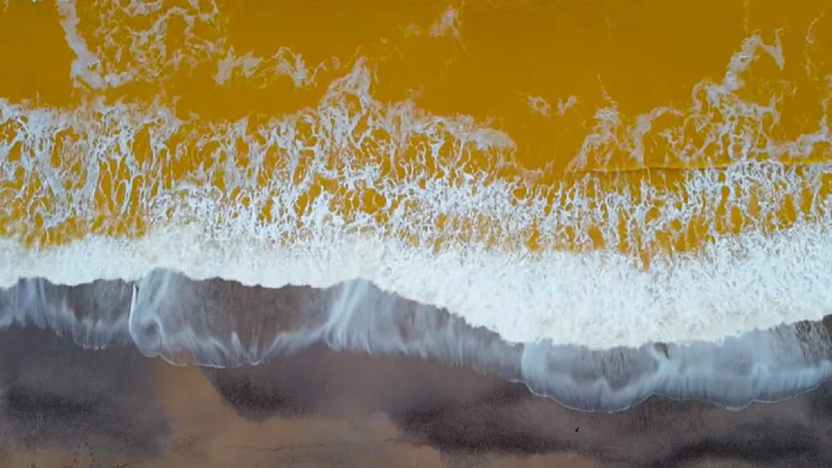 marea neagra galbena in crimeea