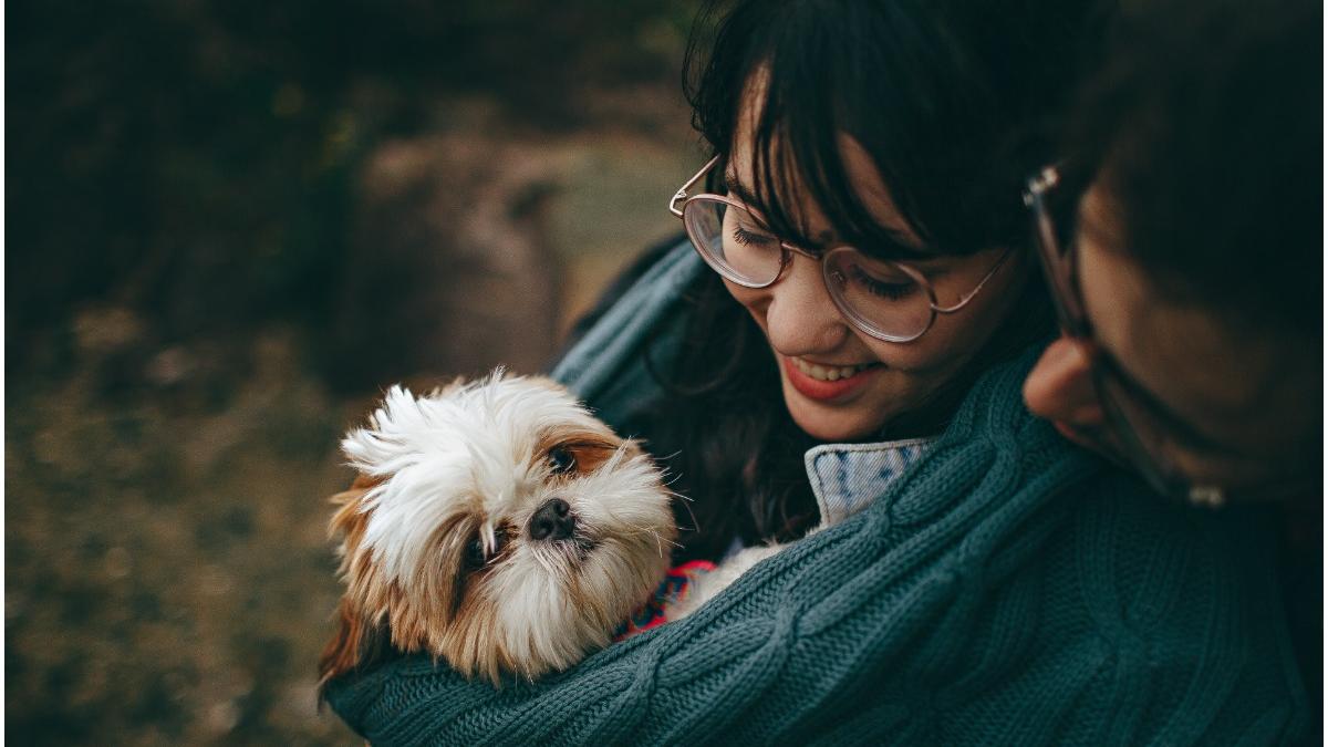 Spania acordă custodia comună a animalelor de companie în caz de divorț