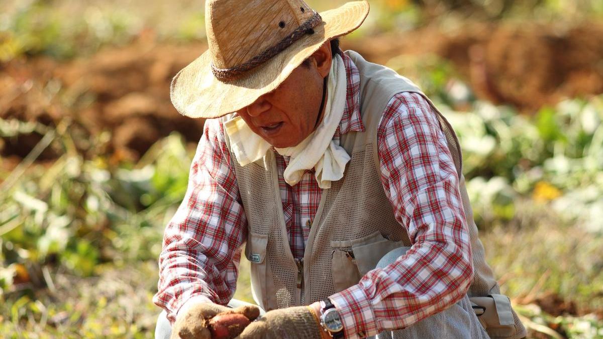 agricultori romani categorii scutite plata impozite