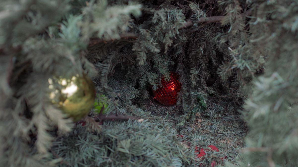 despodobire brad craciun boboteaza sfantul ion