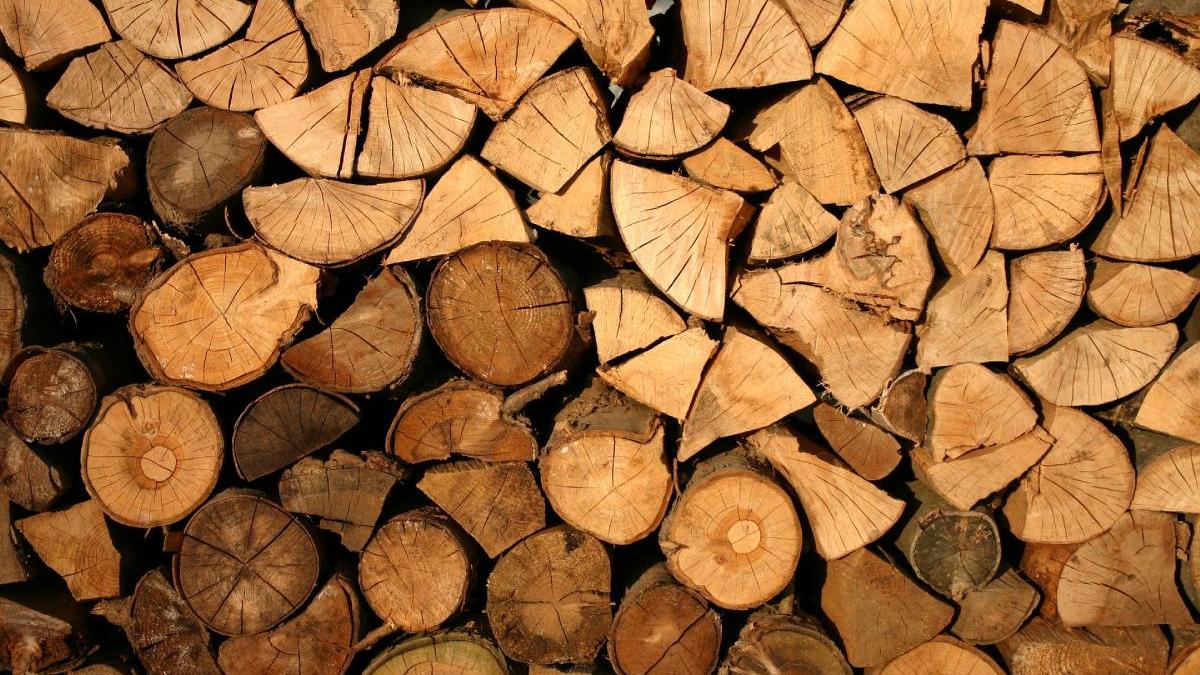 romsilva mesaj romani incalzesc lemne