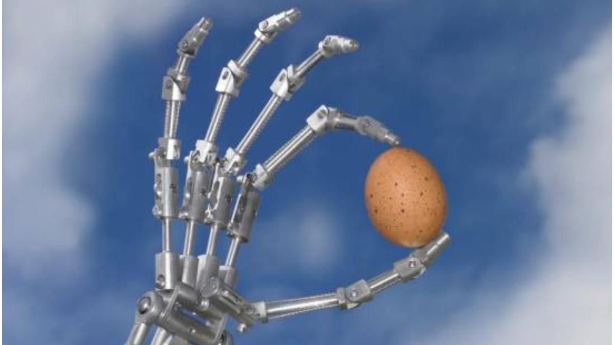 mana robotica poate tine ou