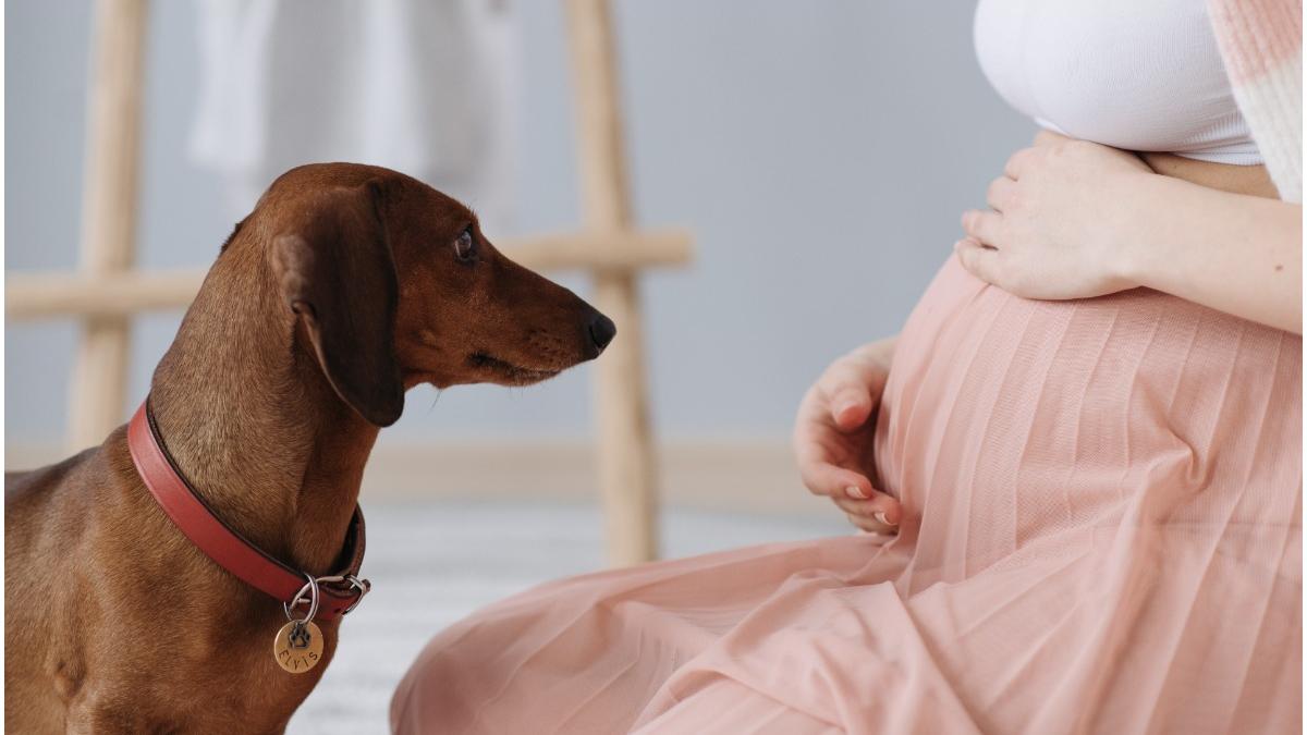 femei vaccinate anticorpi bebelusi covid