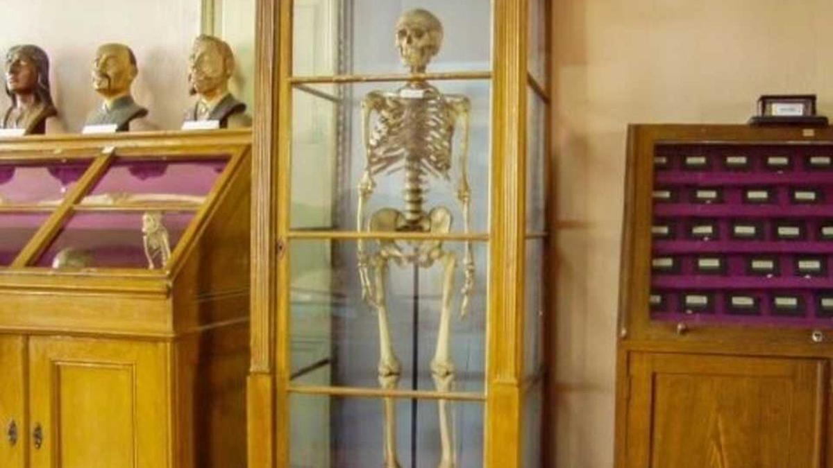 nea costica fost portar muzeu stiinte aiud donat schelet testament