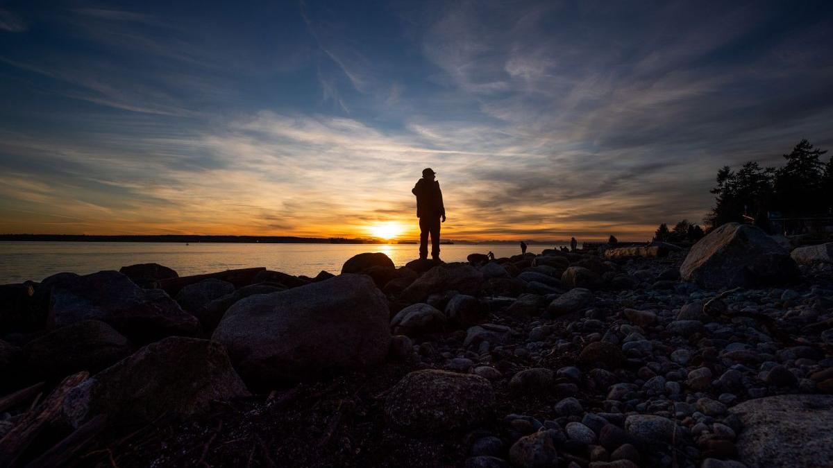 roman disparut munca strainatate ionut covaci sacel maramures
