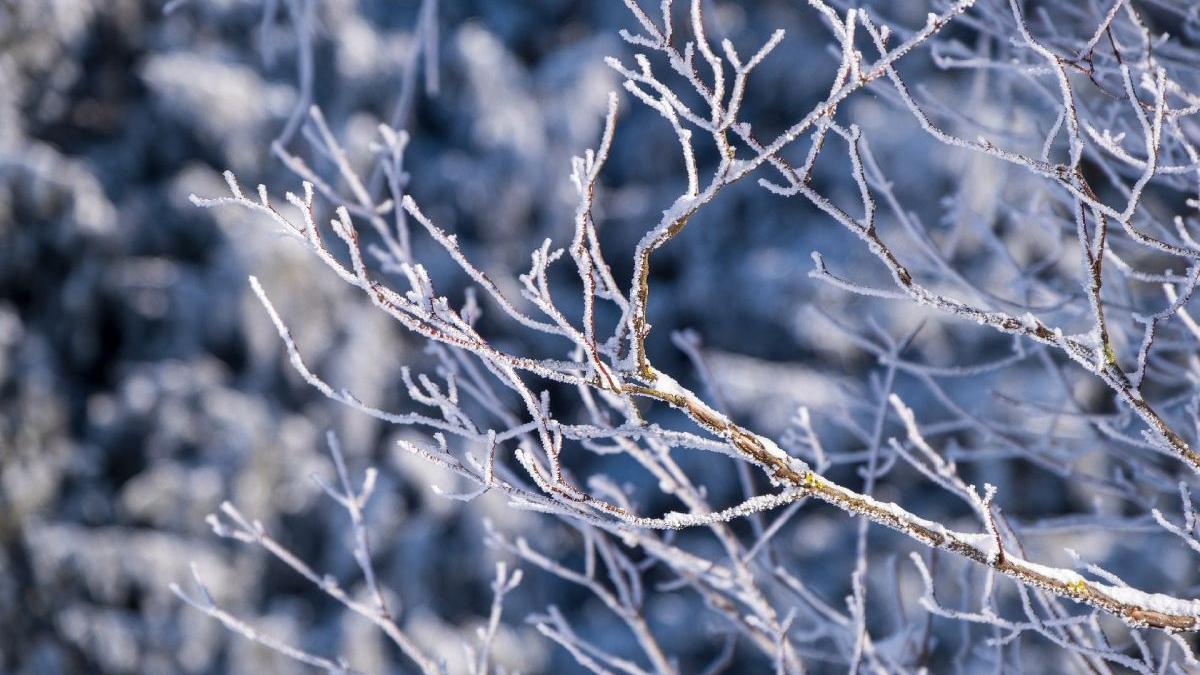 val aer polar loveste romania temperaturi minus 16 grade