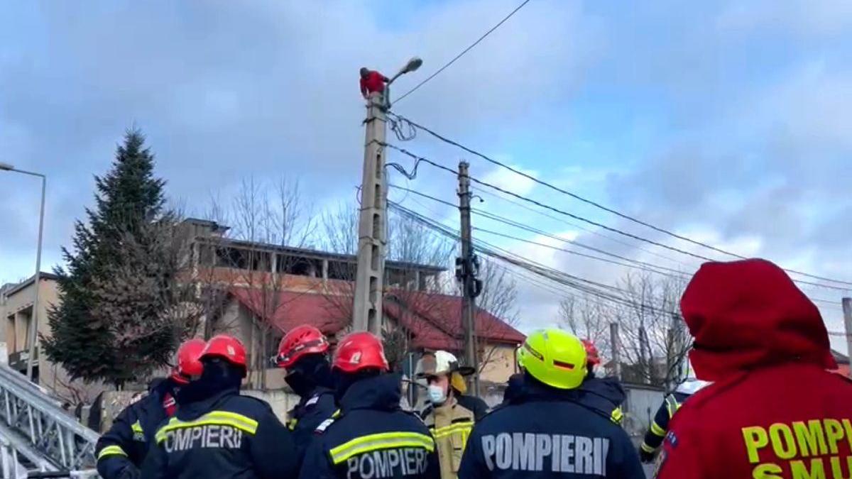 barbat stalp vasa gigi becali