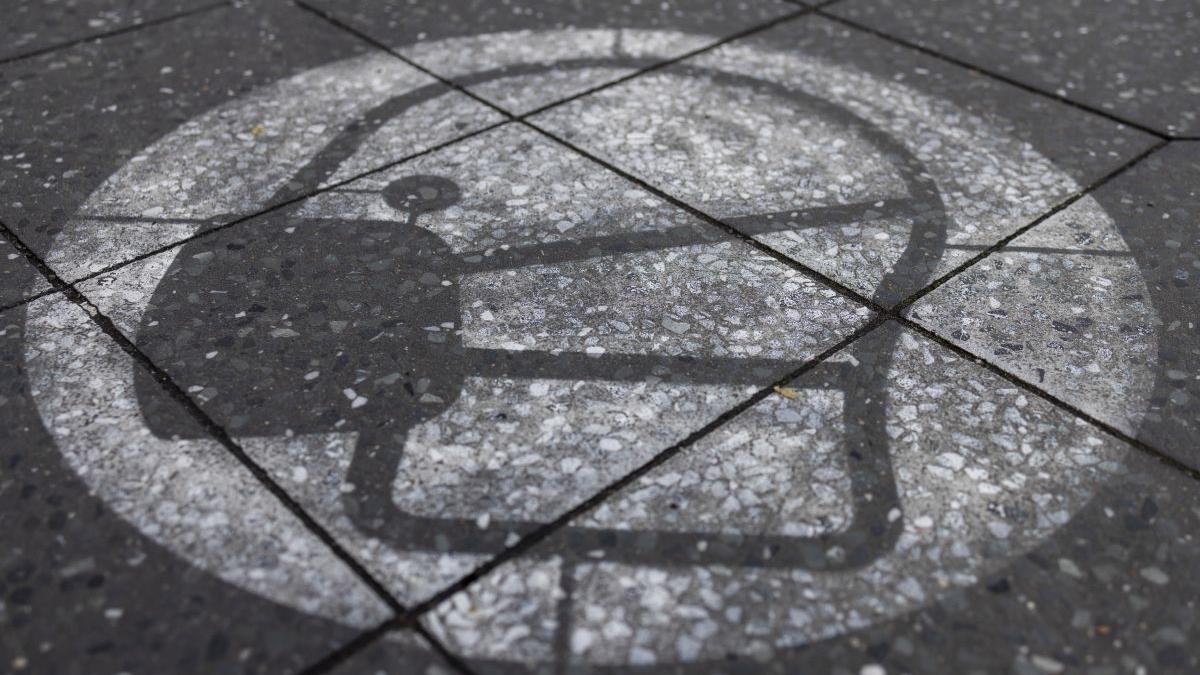 gripa aviara ungaria celula criza bihor