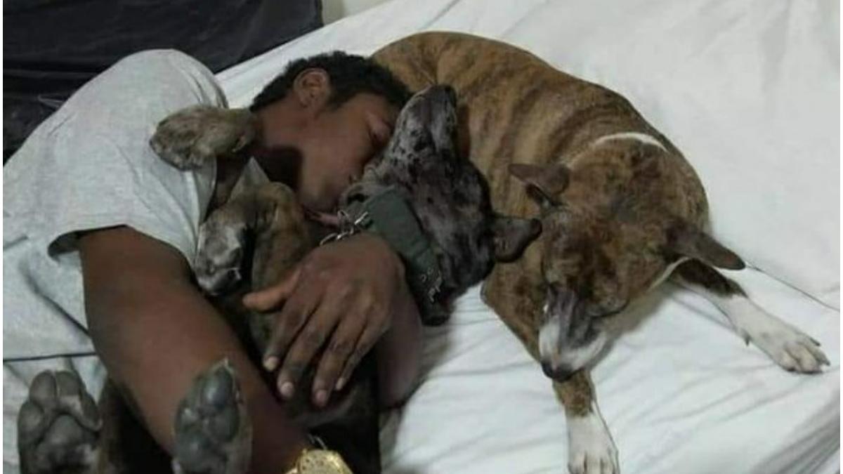 viata tanar fara adapost s a schimbat aniversare caini