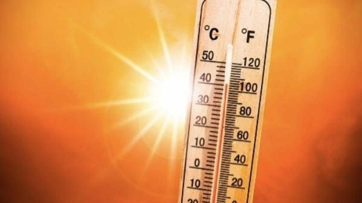 australia record cea mai fierbinte zi temperaturi extreme