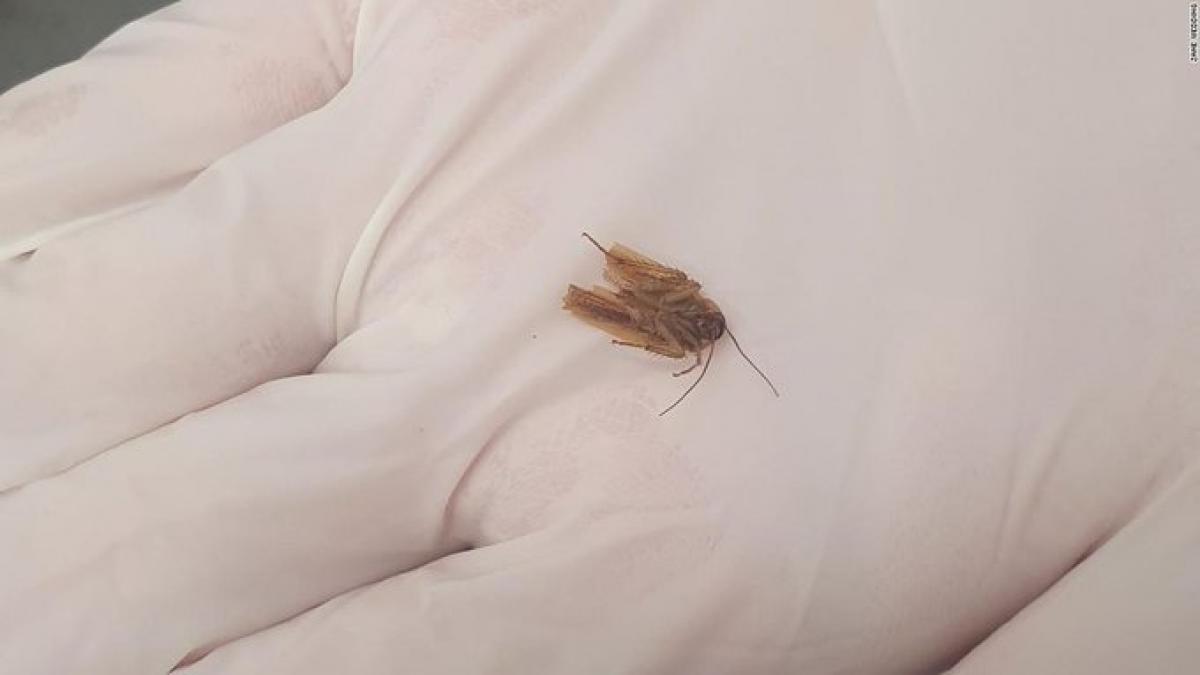 barbat gandac ureche medici apa zoua zeelanda