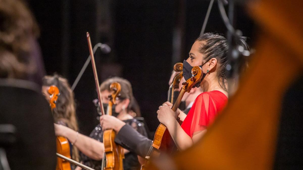 lucian romascanu ziua culturii nationale