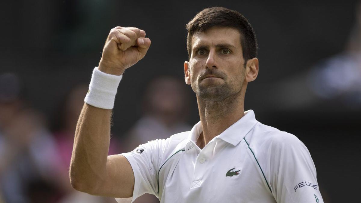 novak djokovic australian open anthony kelly
